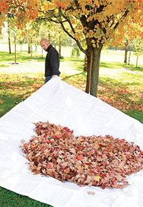 Photo: Lawn Bagg Tarp